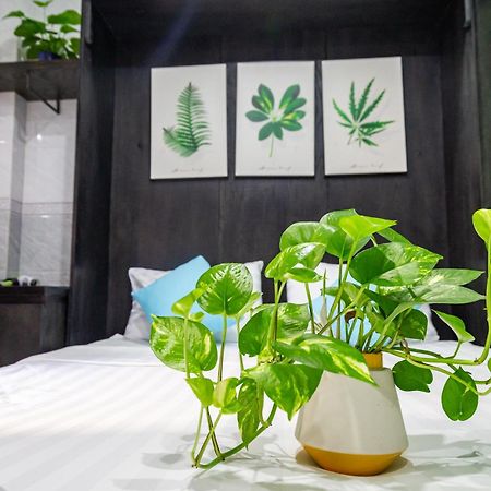 Cola'S Homestay Ho Şi Min Dış mekan fotoğraf